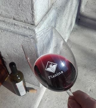 Degustazione di vini a Kletarstvo Petrič
