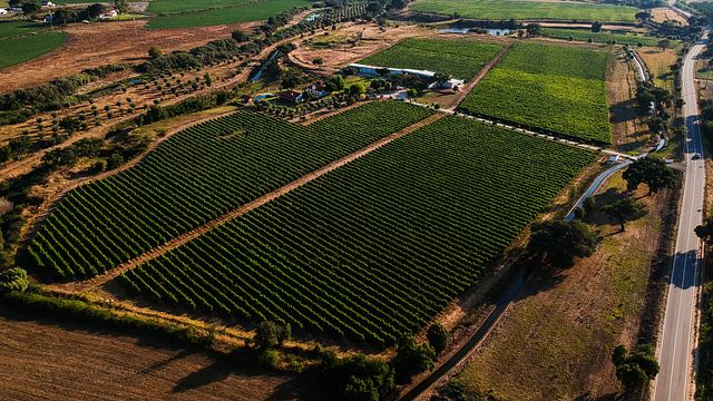 Monte da Raposinha