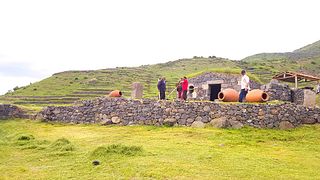 Dégustation de vins et visite de la cave à vin de Natenadze