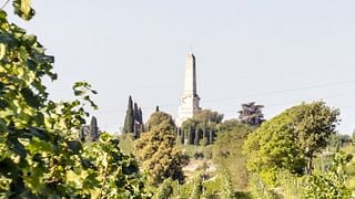The Selections - Guided Tour with Tasting