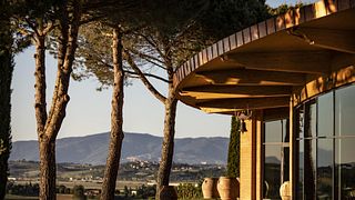 Degustação de vinhos e tour em Bindella Tenuta Vallocaia