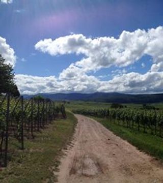 Degustazione di vini e visita al Domaine Frédéric Mochel