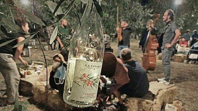 Moonlit Picnic Experience at La Vinarte