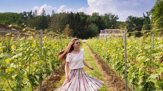 Cata de vinos y visita a la bodega Gloire de Duras