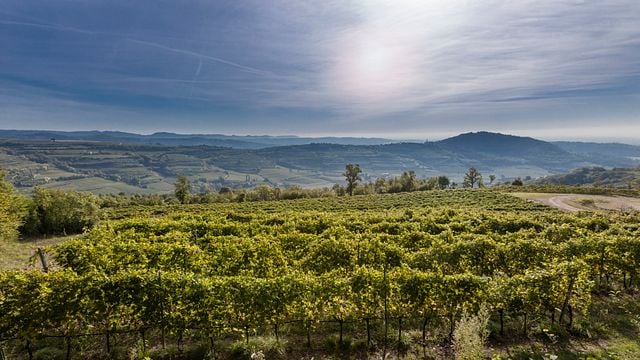 Le Origini - Visita Guidata con Degustazione