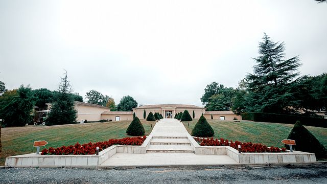 Visita aos vinhedos de Châtonnet