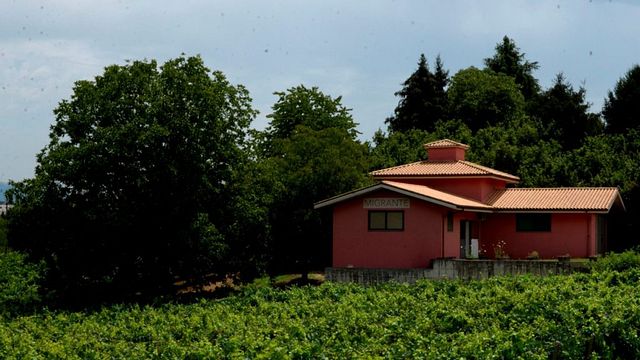 Azienda Agricola Migrante