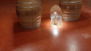 Wine & Art: Paint with Castilla-La Mancha Wines