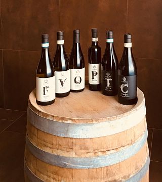 Dégustation de vins panoramiques à Canoso