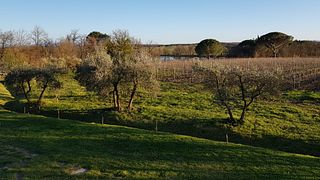 Podere Marella