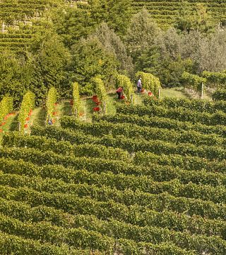 La Biòca Winery