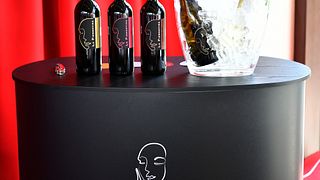 Wine Tasting & Tour in Alto Piemonte at La Piemontina