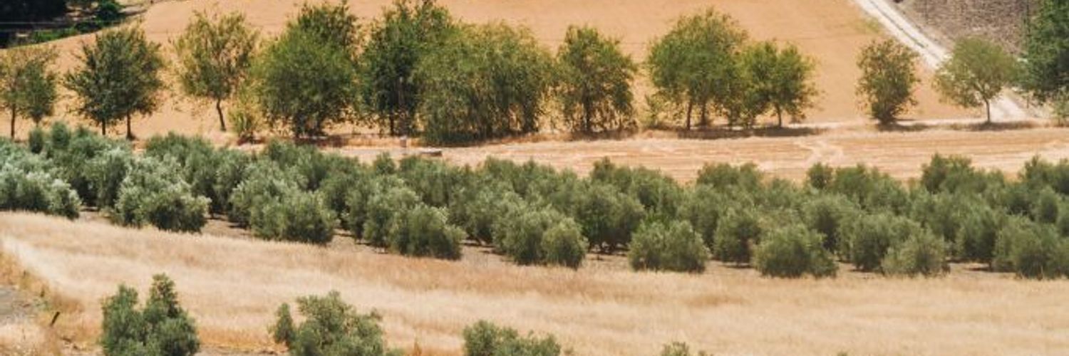 Ladnscapes-alentejo