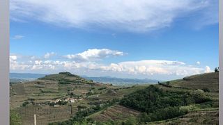 Explore Soave’s Old Vines: Rustic Veneto Escape