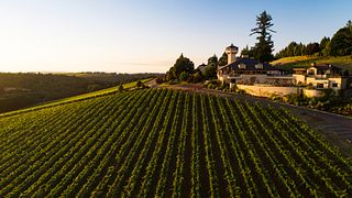Dégustation de vins et visite des vignobles de la vallée de Willamette