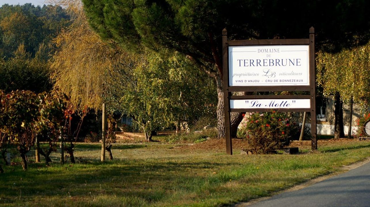 Domaine de Terrebrune