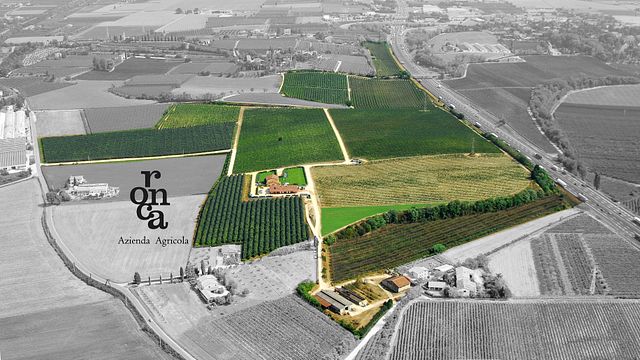 Die Ulderico-Auswahl – Cantina Ronca
