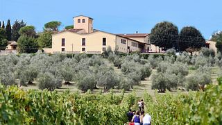 Degustazione di vino Chianti tradizionale a Pagnana