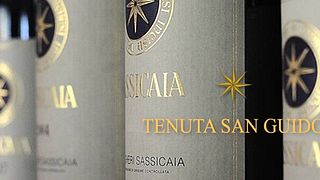 Tenuta San Guido