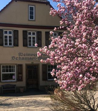 Weinprobe und Führung im Weingut Schamari Mühle