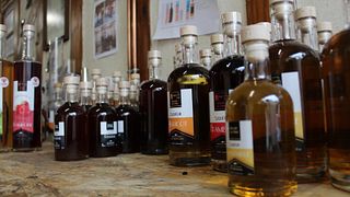 Degustazione di vini e tour alla Distillerie de la Forge