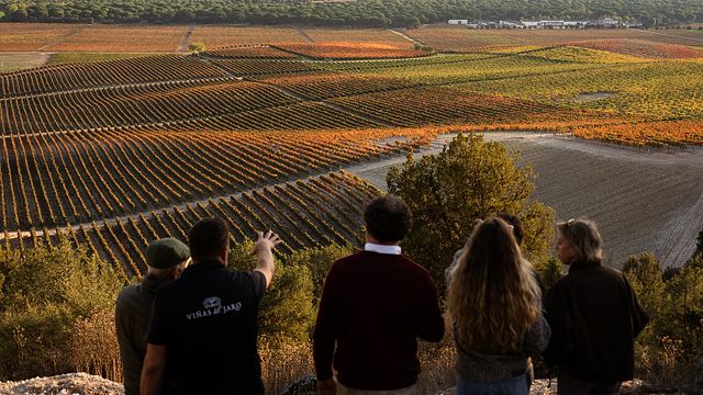 Viñas del Jaro