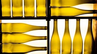 Degustazione di vini presso i Vigneti Novi