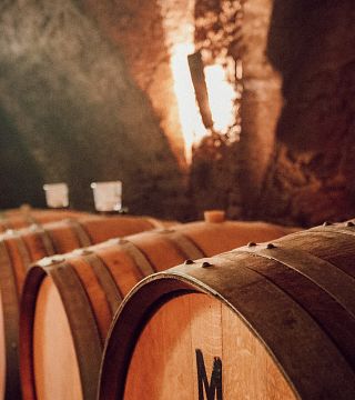Podravska Eco-Wine Tour & Tasting at M-Simply Good