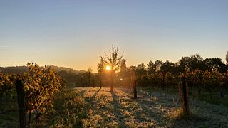 Domaine de Pajot