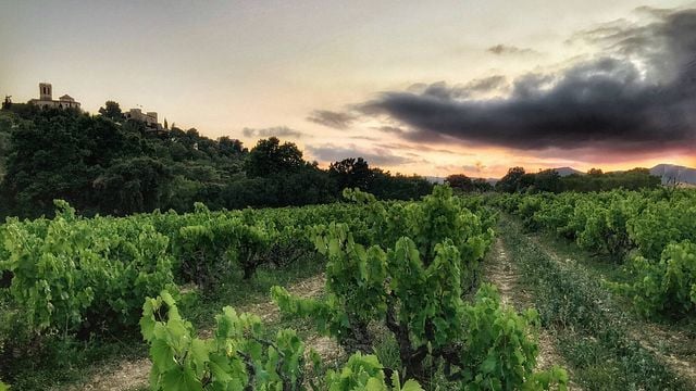 Mas Bertran Winery