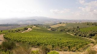 Degustazione di vini e tour al Grand Tokaj