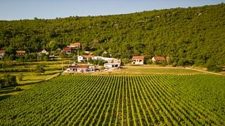 Cata de vinos de lujo en la bodega Krolo