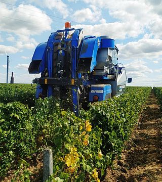 Degustazione di vini al Domaine Chauveau