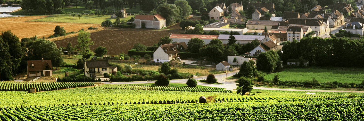 Chablis