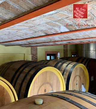 Degustazione di vini e tour presso Tenuta San Mauro