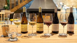 Visita e Degustação - Degustação de Terroir