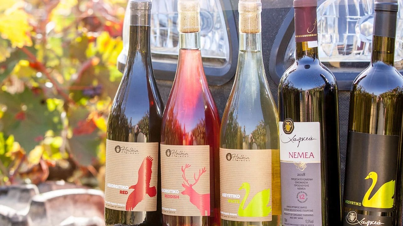 Weinprobe im Halkia Organic Winery
