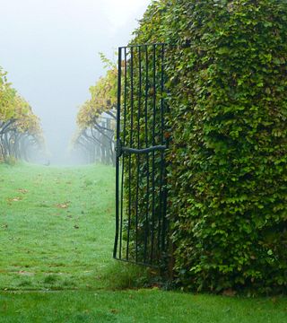 Chiltern Valley Winery & Brewery