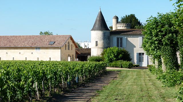 De la vid a la copa: visita y cata de vinos | Château Cruzeau