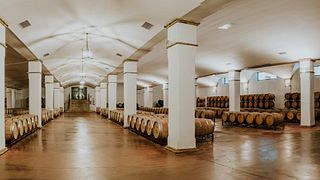 Degustazione di vini e tour a Bodega Valdealto