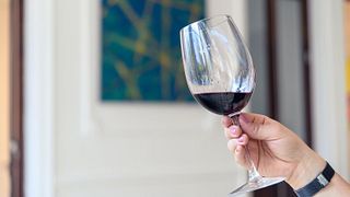 Degustazione e tour di vini Fuego Blanco alla Bodega Los Toneles