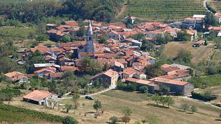 Degustazione di vini e tour a Vina Povh