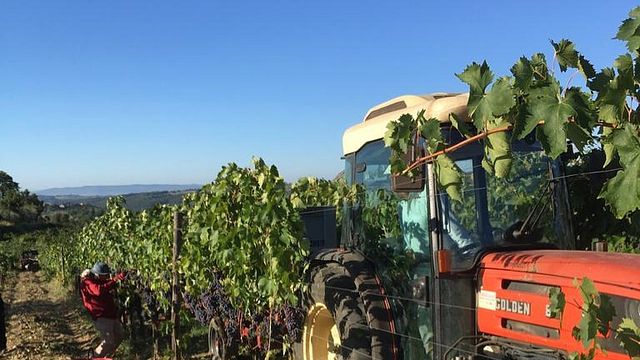Weinprobe und Tour bei Rocca Di Montegrossi