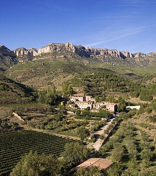Premium-Weinprobe und Tour in La Conreria d'Scala Dei