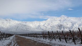 Weinprobe und Tour bei Bodegas San Huberto