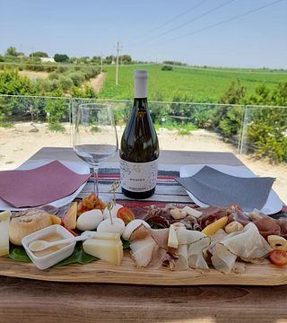Dégustation Primitivo Wine Experience à la Cantine Erario