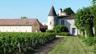 Bordeaux Grand Cru: Wine & Cheese at Château Cruzeau