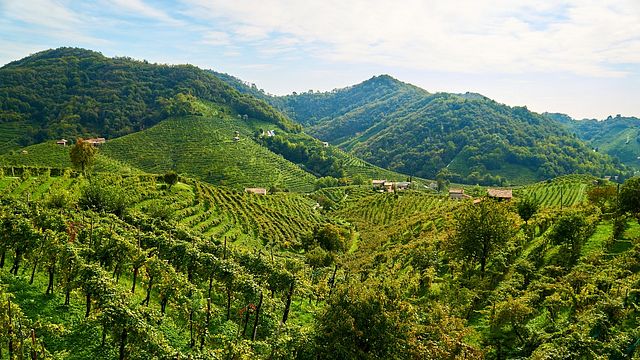 Valdobbiadene Prosecco Docg-Tour