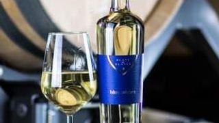 Galicia's Finest: Bargiela Bienati Wine Journey