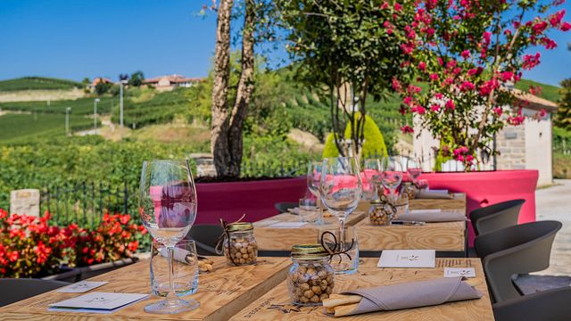 Taste 5 Piedmont Red Wines on a Cellar Tour
